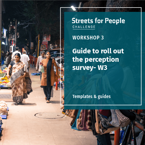 Guide to roll out the perception survey – W3