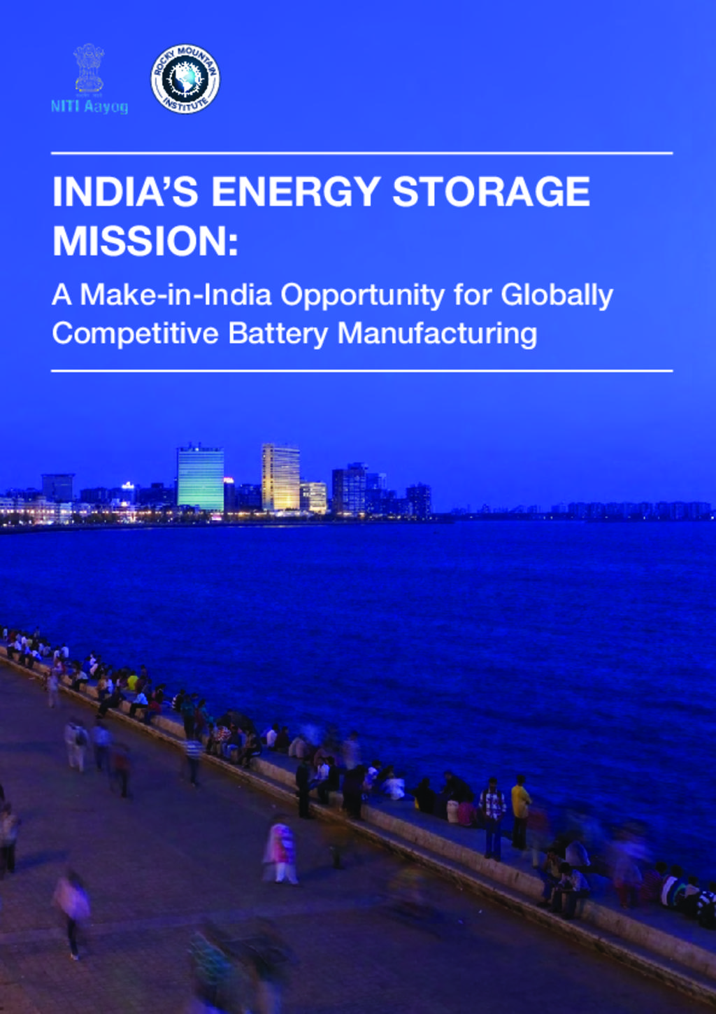 India Energy Storage