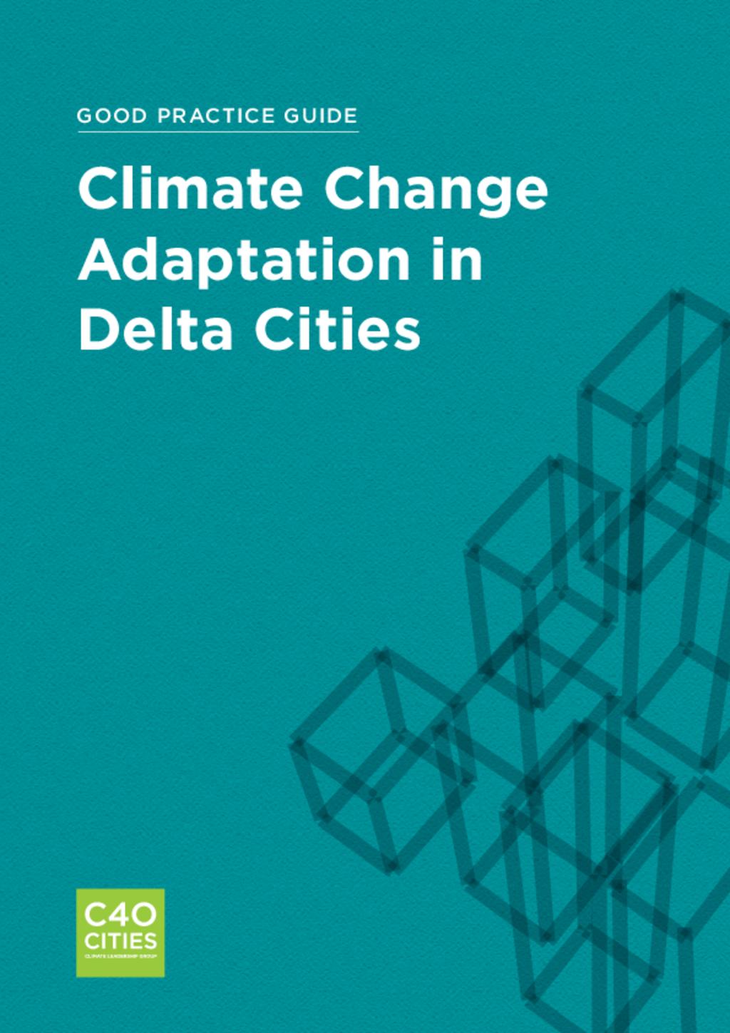 Good Practice Guide - Climate Change Adaptation in Delta Cities