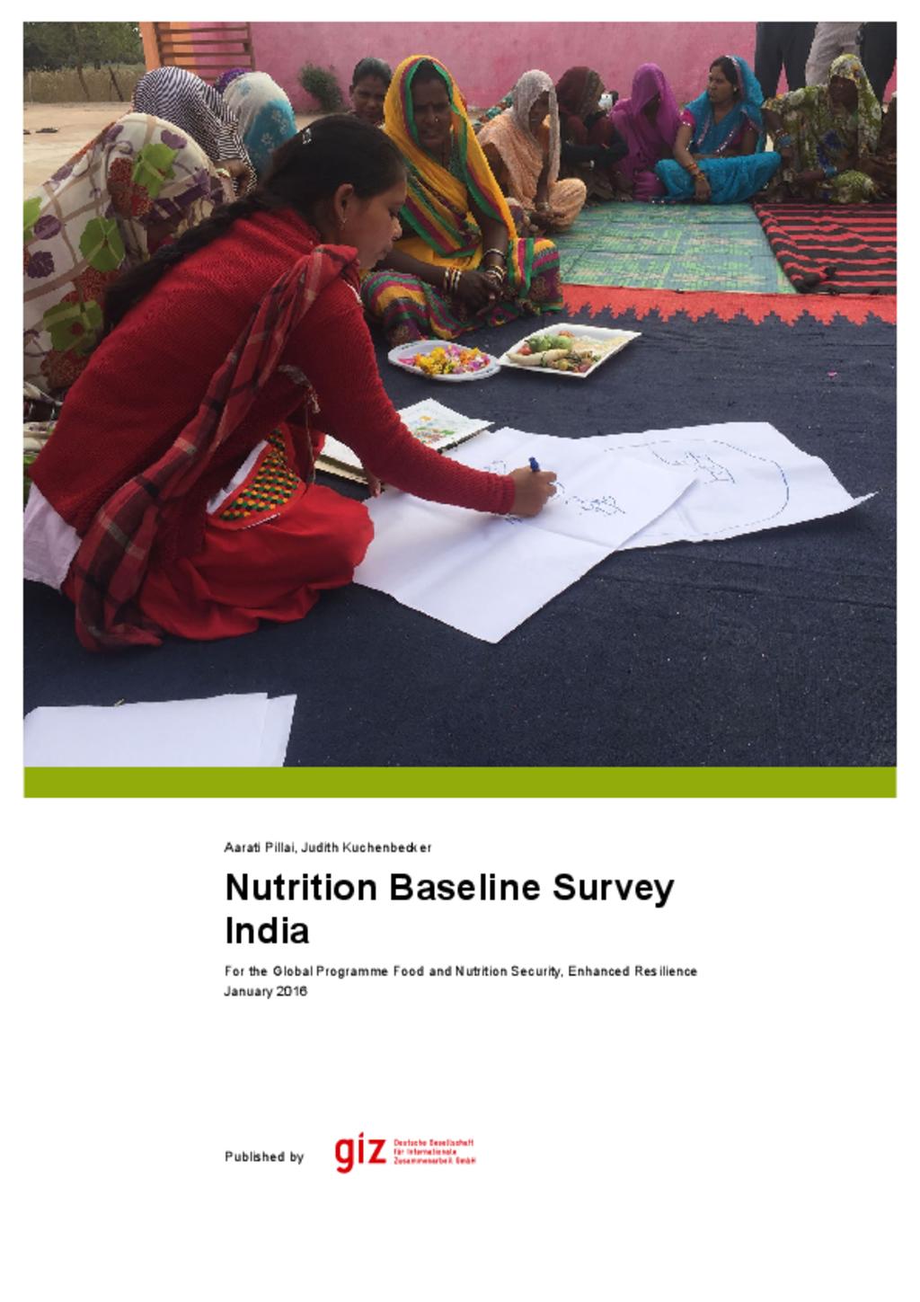 Giz Nutrition baseline study